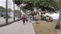 Dominican Republic Malecon Streets GIF