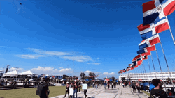 Dominican Republic Santo Domingo Flags GIF