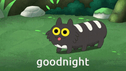 Domino Cat Amphibia GIF