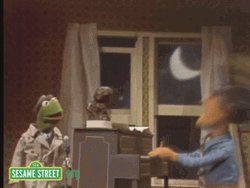 Don Sesame Street Head Bang Piano GIF
