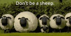 Don't Be A Sheep GIF