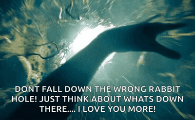 Don't Fall Down The Wrong Rabbit Hole I Love You More GIF