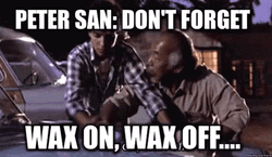 Don't Forget Mr Miyagi Said Wax On Wax Off GIF