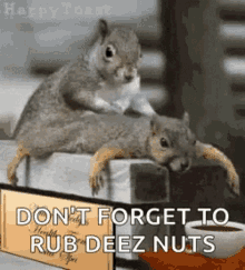 Don't Forget To Rub Deez Nuts