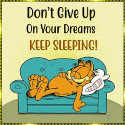 Don't Give Up Lazy Saturday Keep Sleeping GIF