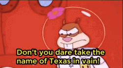 Don't You Dare Take The Name Of Texas GIF