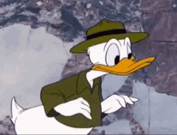 Donald Duck Angry What Do You Want GIF