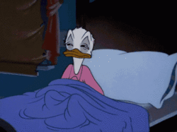 Donald Duck Disney Good Night Covers Blanket