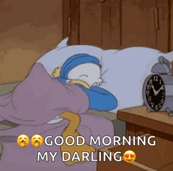 Donald Duck Good Morning My Darling Sleepy Meme GIF