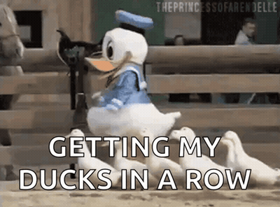 Donald Duck Is Getting His Ducks In A Row In A Fenced In Area GIF
