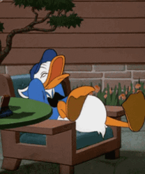Donald Duck Laughing Hysterically GIF