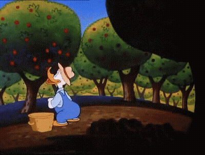 Donald Duck Picking Apples From Tree GIF