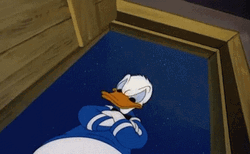 Donald Duck Shaking Head GIF