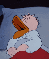 Donald Duck Sleeping And Snoring