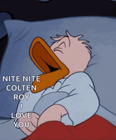 Donald Duck Sleeping Nite Nite GIF