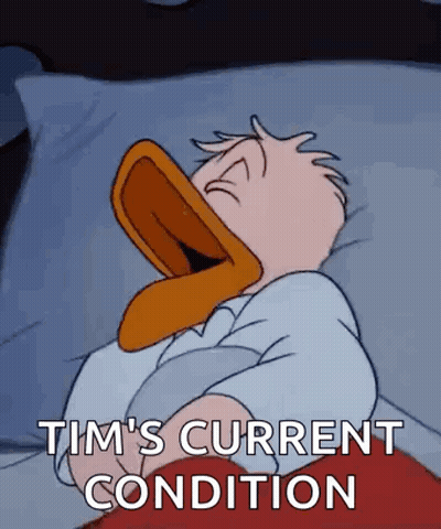 Donald Duck Sleeping With Tim's Condition GIF