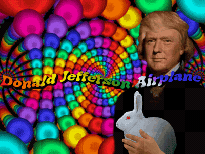 Donald Jefferson Is Holding A White Rabbit In Front Of A Colorful Spiral GIF