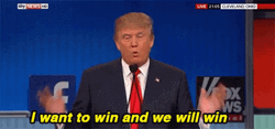 Donald Trump All I Do Is Win GIF