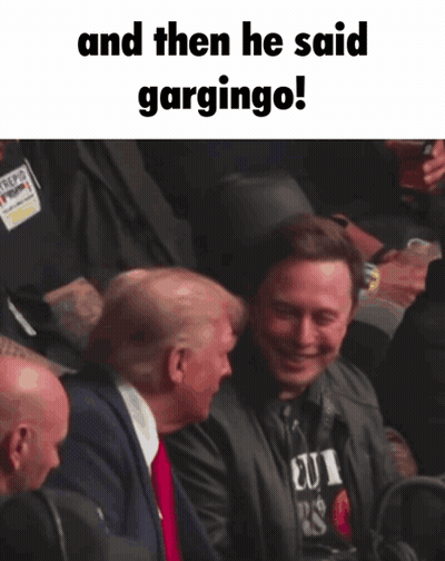 Donald Trump And Elon Musk Garglingo GIF