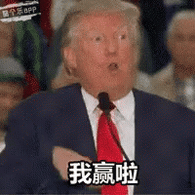 Donald Trump And Hillary Clinton 319 Million People Narrowed It Down This Nice Job America GIF