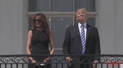 Donald Trump And Melania Trump Are Standing On A Balcony . GIF