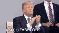 Donald Trump Applause I'm So Fabulous GIF