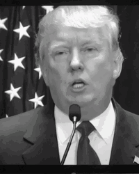 Donald Trump Big Lie GIF