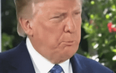 Donald Trump Close Up In Suit And Tie GIF