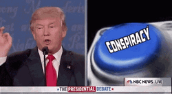 Donald Trump Conspiracy GIF