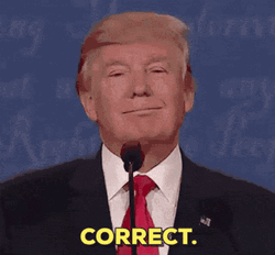 Donald Trump Correct GIF