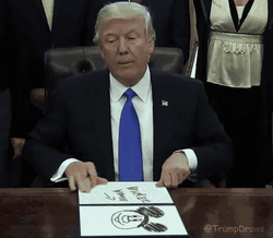 Donald Trump Draws Mickey Mouse Meme GIF