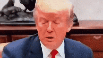 Donald Trump Eyes Closed At Desk GIF