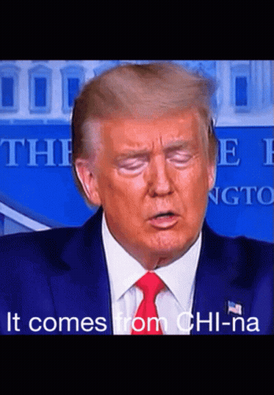 Donald Trump Face With It Comes From Chi-Na GIF