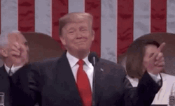 Donald Trump Finger Pointing GIF