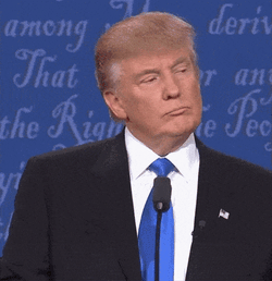 Donald Trump GIF