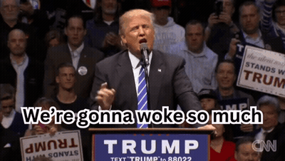 Donald Trump Giving Speech Holding Trump Sign GIF