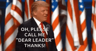 Donald Trump Giving Speech In Front Of American Flag Saying Dear Leader GIF