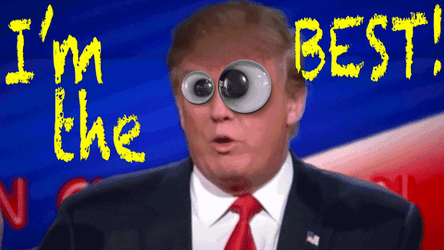 Donald Trump Googly Eyes GIF