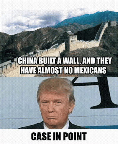 Donald Trump Great Wall Of China Meme GIF