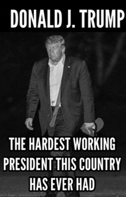 Donald Trump Hardest Working President Trump Loves America Meme GIF
