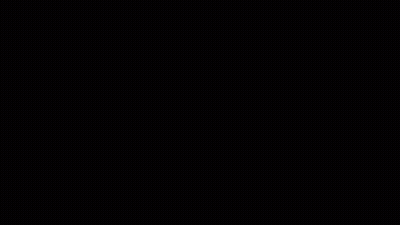 Donald Trump Holding Bald Eagle With Trump 2024 Banner GIF