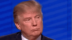 Donald Trump Holding His Ear Listening GIF