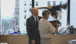 Donald Trump Holds Bald Eagle GIF