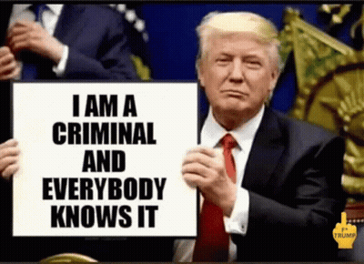 Donald Trump Holds Sign Saying I Am a Criminal and Everybody Knows It