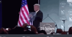 Donald Trump Hug The Flag GIF
