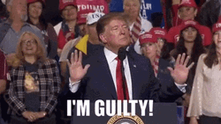 Donald Trump I'm Guilty  GIF