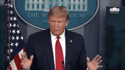 Donald Trump In Front Of White House GIF
