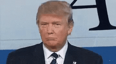Donald Trump In Suit And Tie GIF