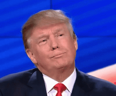 Donald Trump In Suit And Tie Making Silly Face GIF