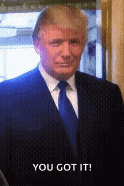 Donald Trump In Suit And Tie Saying You Got It GIF